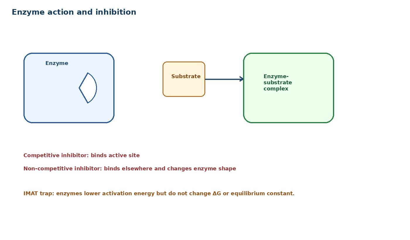 Enzyme action and inhibition