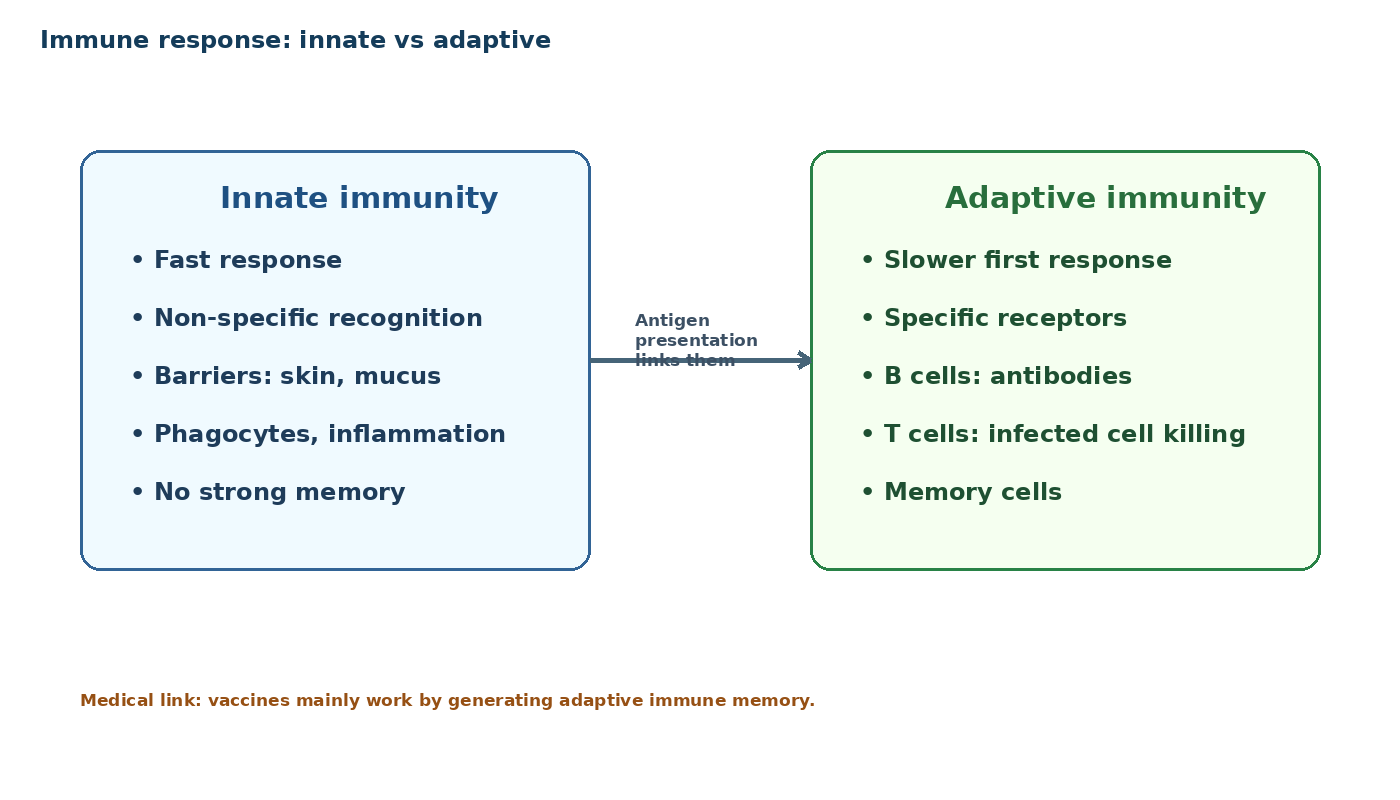 Immunology and Disease Biology diagram