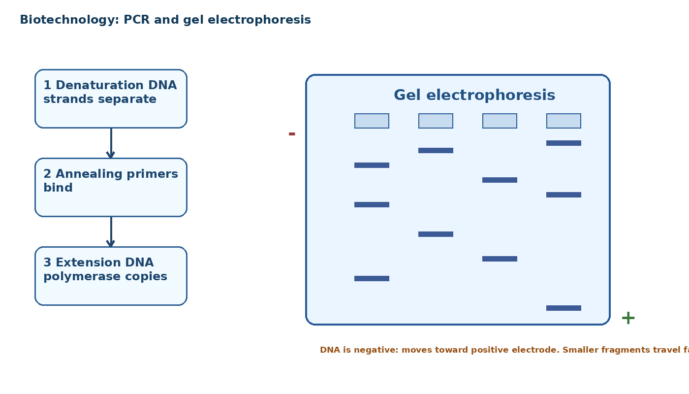 Biotechnology and Recombinant DNA Technology diagram