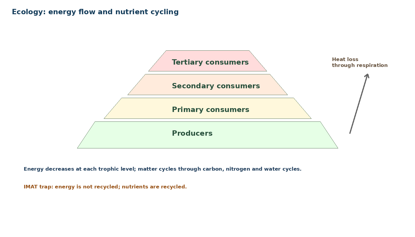 Ecology, Ecosystems and Human Impact diagram