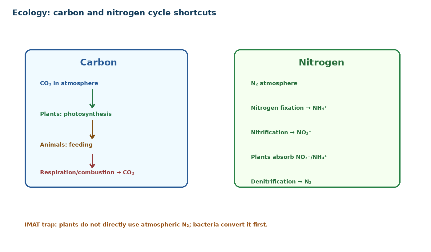Carbon and nitrogen cycle shortcuts